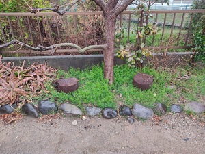 ＮＰＯハーモニーへ。