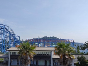 今日は、３０℃越え。
