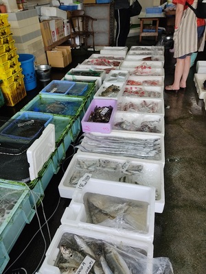 魚の買い出し／お得です。