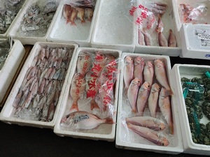 魚の買い出し／お得です。