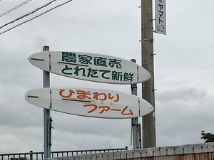 胡蝶蘭。