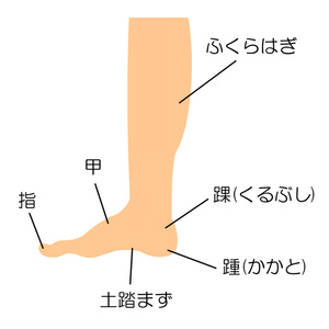 アキレス腱断裂の予後。