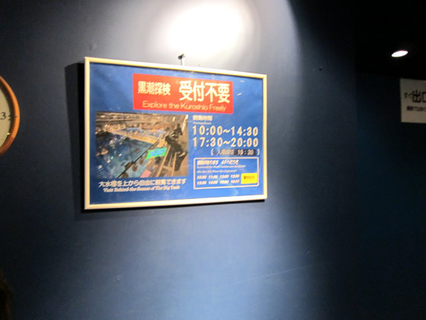美ら海水族館（後）