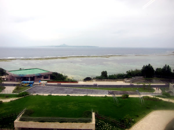 美ら海水族館（後）