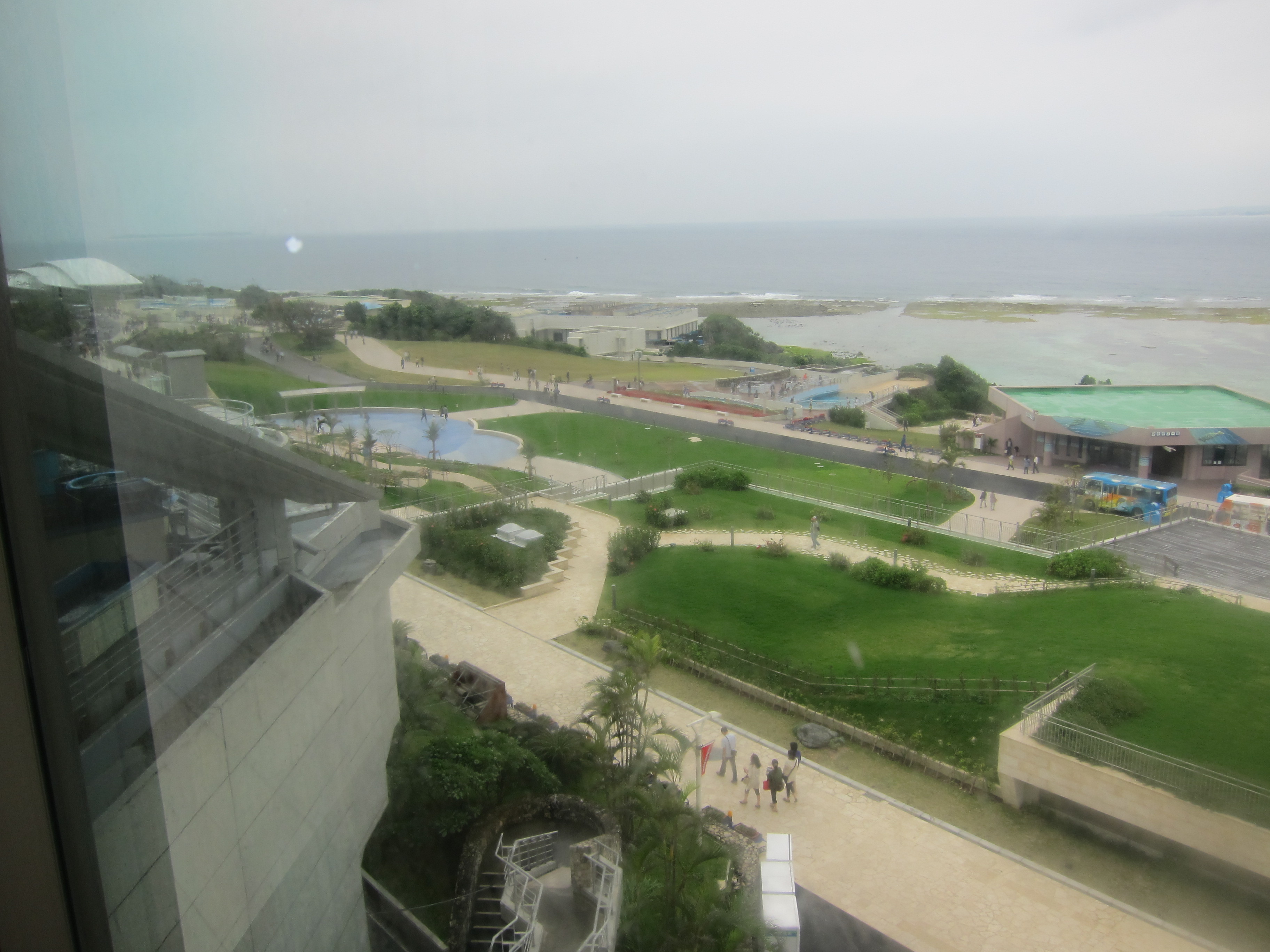 美ら海水族館（後）