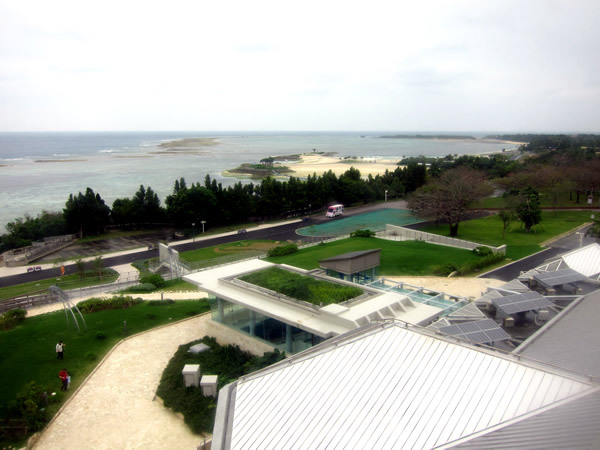 美ら海水族館（後）