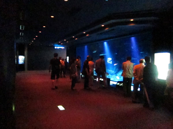 美ら海水族館（後）