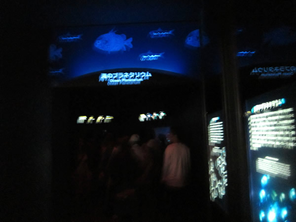 美ら海水族館（後）
