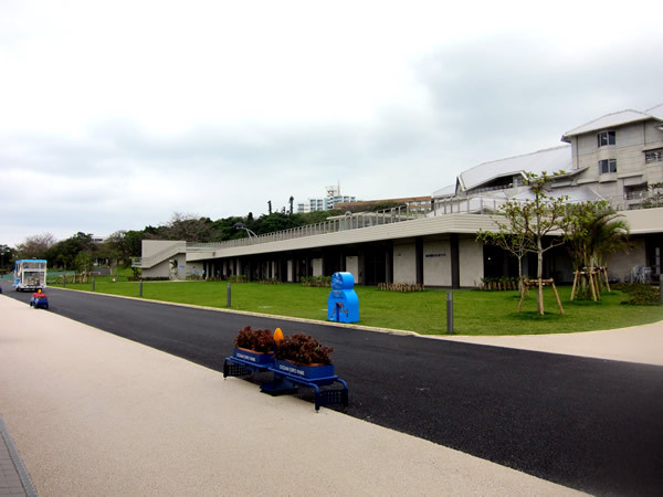 美ら海水族館（後）