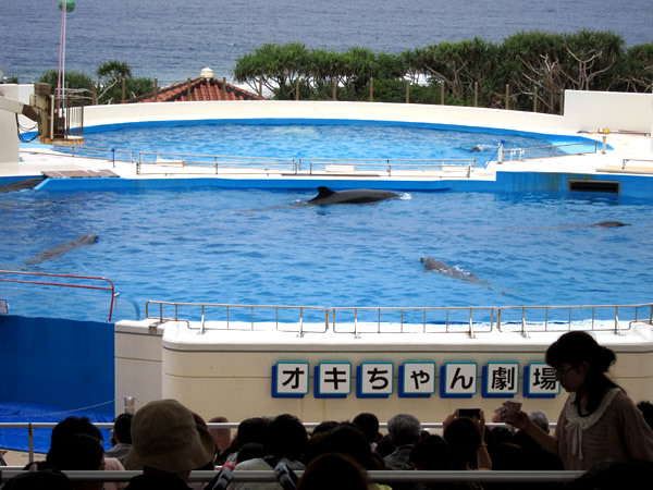 美ら海水族館（後）