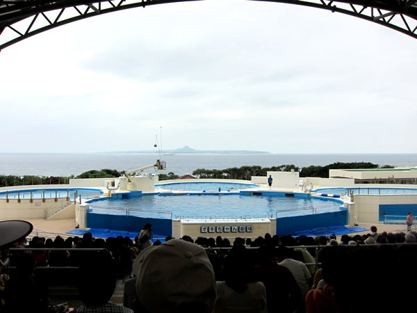 美ら海水族館（後）