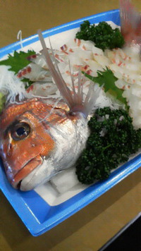 天然真鯛 2013/04/27 15:39:35