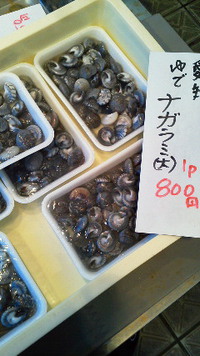 茹でながらみ 2013/11/07 15:00:07