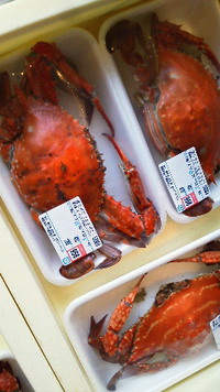 渡りがに 2014/07/04 16:12:56