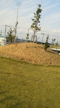 命山公園 2014/11/12 15:02:08