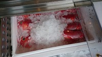 金目鯛、太刀魚 2017/08/21 10:44:54
