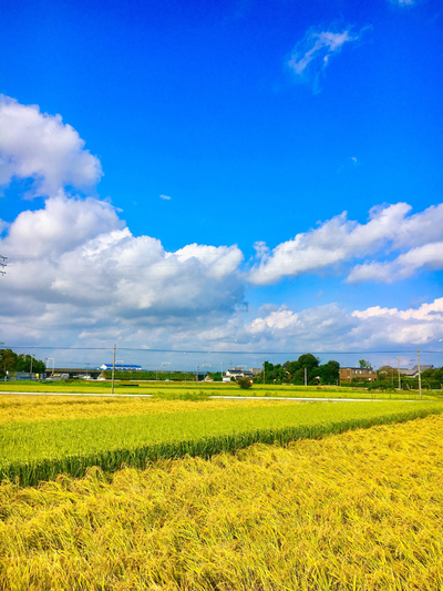 ヨガ！心落ち着く秋の風景│浜松市・磐田市周辺のヨガ情報