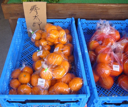色々な「みかん」が並んでます。
