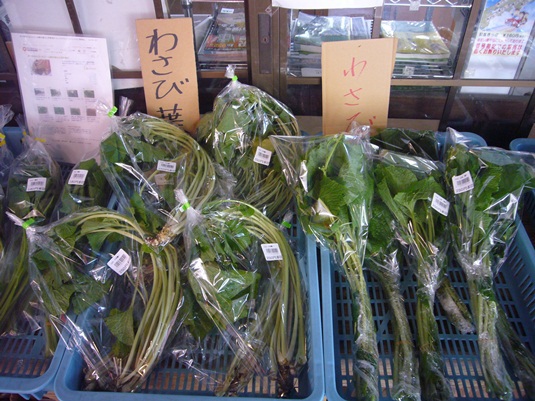 わさびの葉 茎 山ウド 沢フキ が並びました 浜松市天竜の道の駅 いっぷく処横川