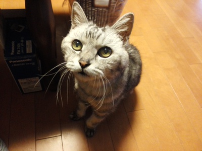 ひめこ*一年後の想い