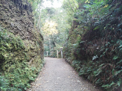 袋井油山寺・紅葉散歩・後半