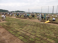 地区住民で公園の芝張り。