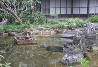 今年も来ました 2025/04/11 13:12:39