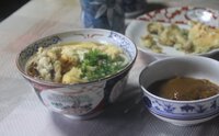 天ぷらうどんカレー添え 2025/04/13 14:23:00