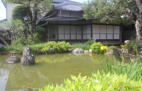 青茲展　Ⅵ