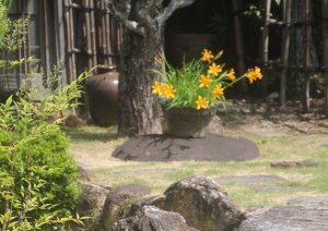 青茲展　Ⅵ