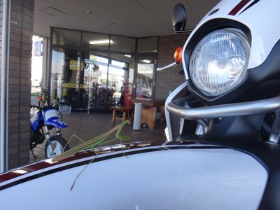 SEROWで伸びする、かまきり