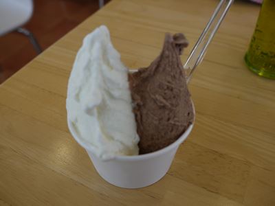 田原でどうぶつ発見