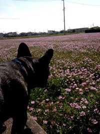 ダラダラGW 2013/05/04 21:07:57