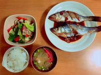 釣れない時もある 2017/06/27 14:38:22