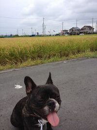 今だけニューーース！！ 2012/09/17 23:32:30