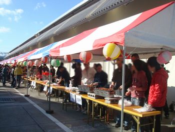 昨日の様子