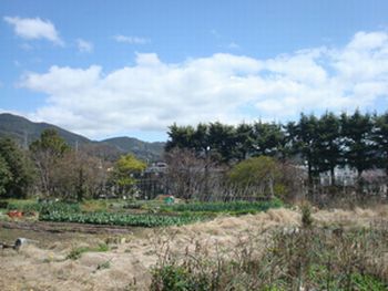 霧の朝