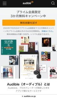 読書苦手なので…