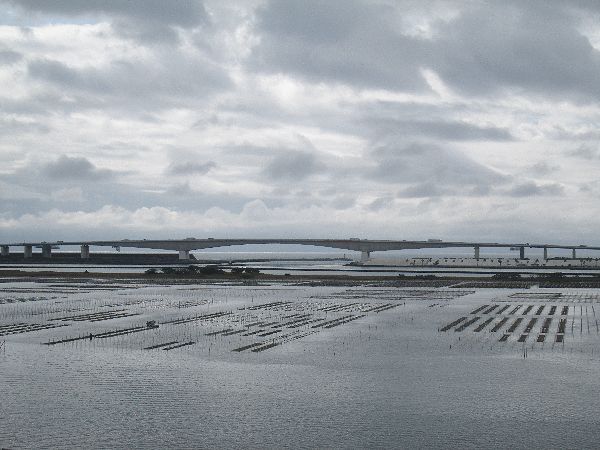 南浜名湖KOSAIから、こんにちは！今日の諺