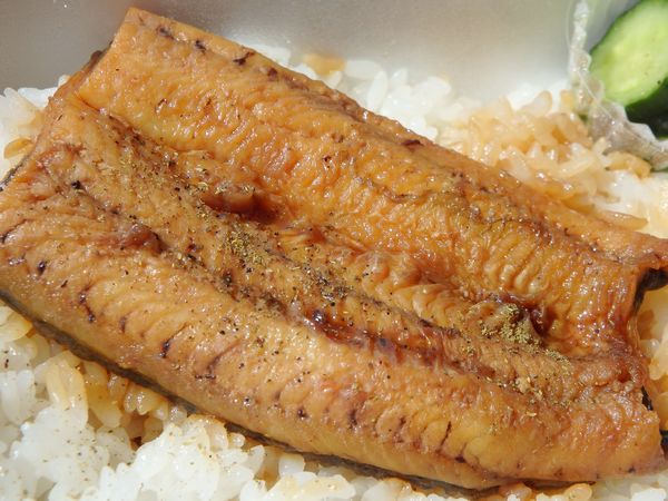よらっせYUTO  「うなぎ弁当あります！」