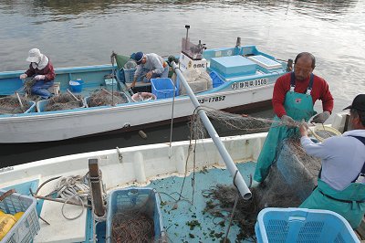 浜名湖 刺し網漁のカニ l 南浜名湖SHOPS