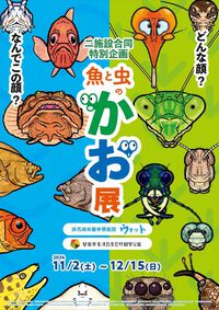 ２施設同時企画『魚と虫のかお展』開催中！