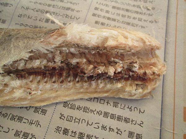 カンカイ の美味しい食べ方 L 南浜名湖shops