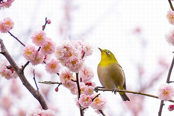 今日は、春のはじまり「立春」です。