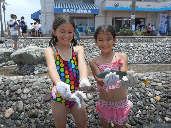 暑さを吹き飛ばせ！ 「浜名湖の魚つかみ体験」