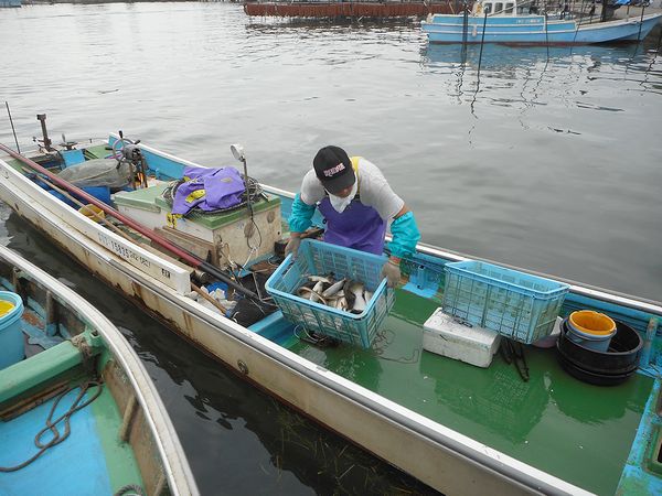浜名湖の美味しい魚・カニを食べよう！