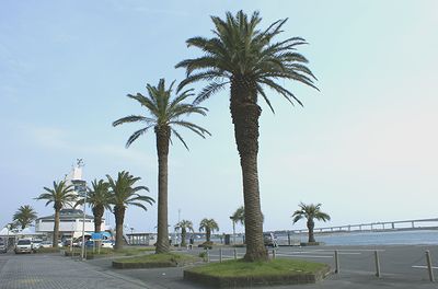 舞阪地区ノルディック・ウォーク体験会のお知らせ