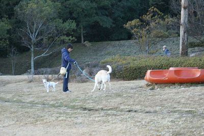 きなこの佐鳴湖レポート　竹村広蔭選の佐鳴八景