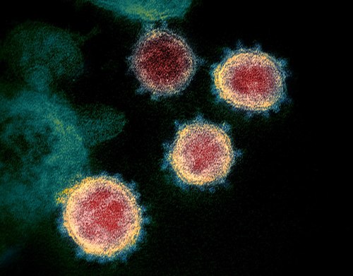 SARS（サーズ）、MERS（マーズ）などコロナウイルスを不活性化できる殺菌剤です。