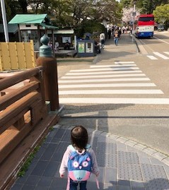 娘と掛川観光